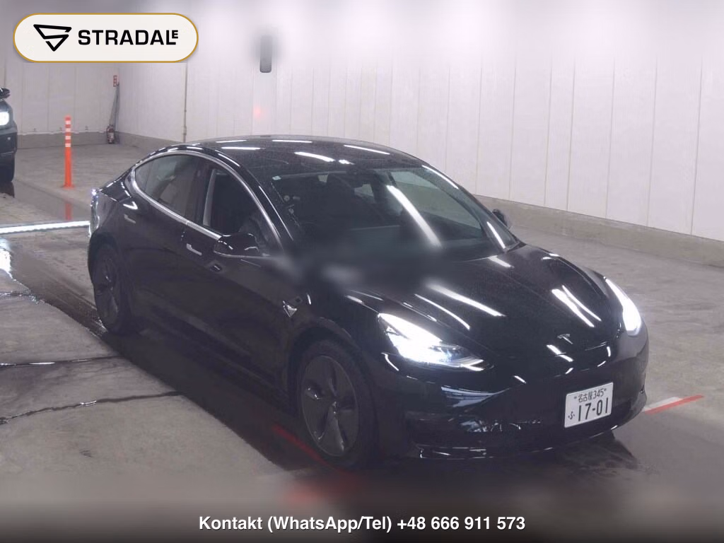 TESLA MODEL 3 4WD LONG RANGE 2020, aukcja z Japonii, zdjęcie 1