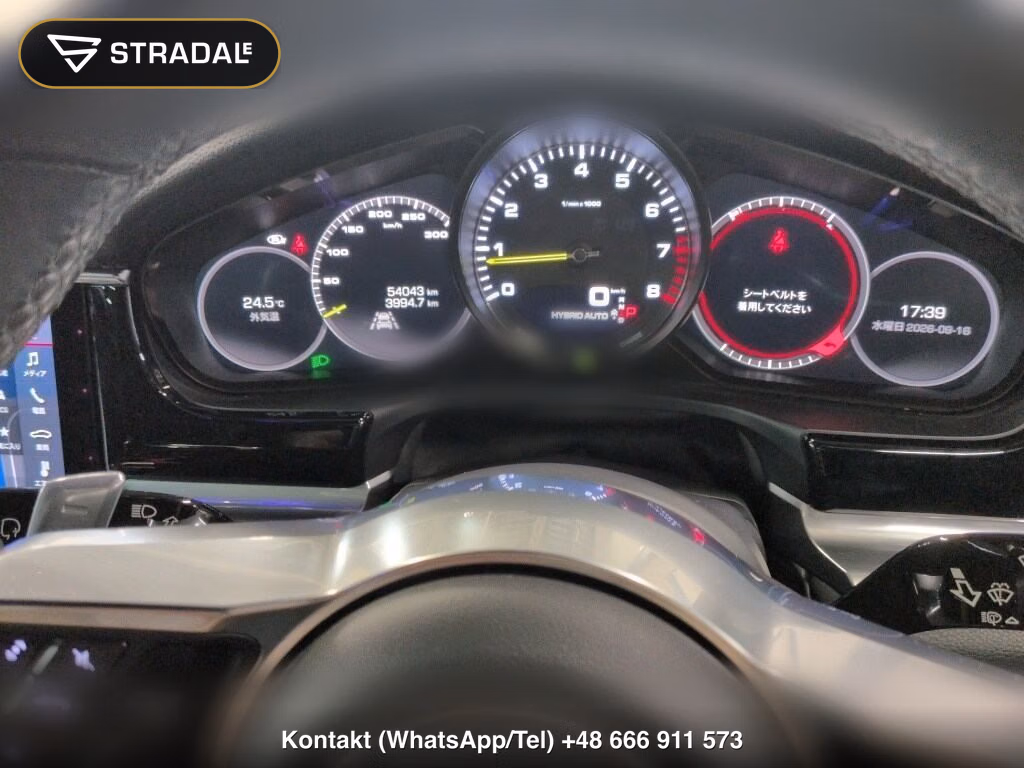 PORSCHE PANAMERA 5D 4WD 4 E-HYBRID, miniaturka 7