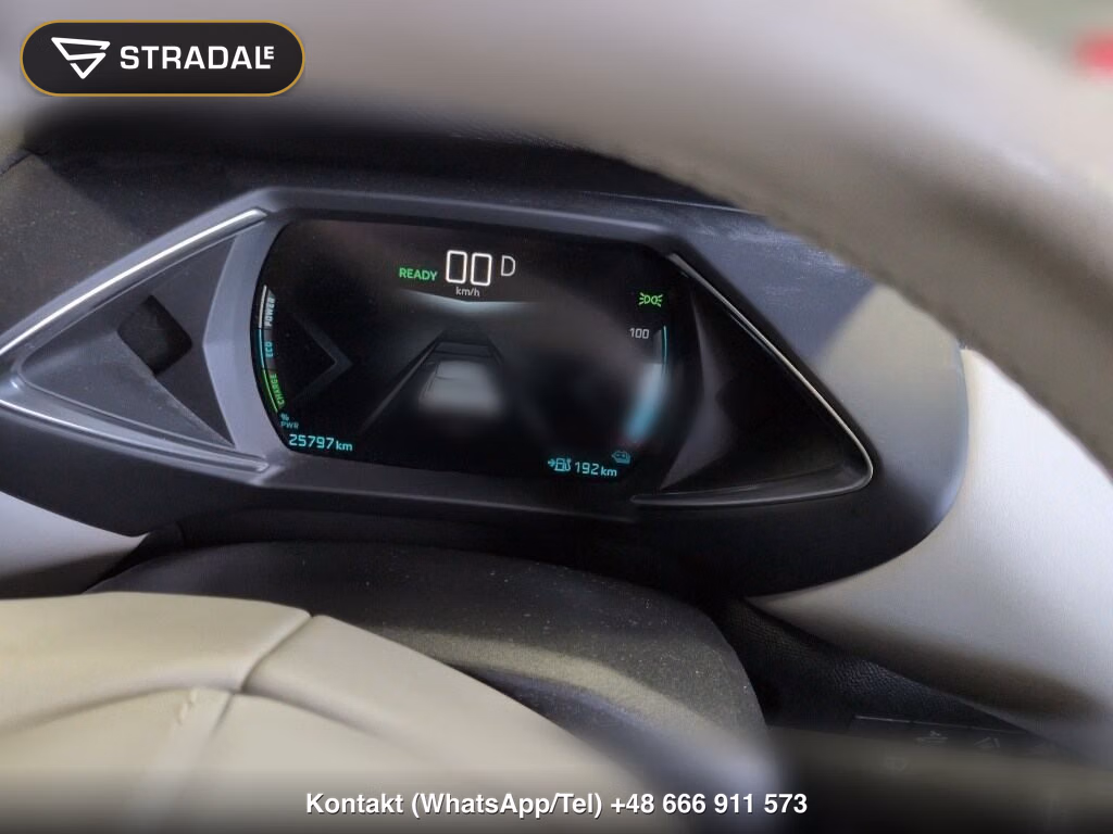 DS AUTOMOBILES DS3 CROSSBACK E-TENSE E-TENSE, miniaturka 7