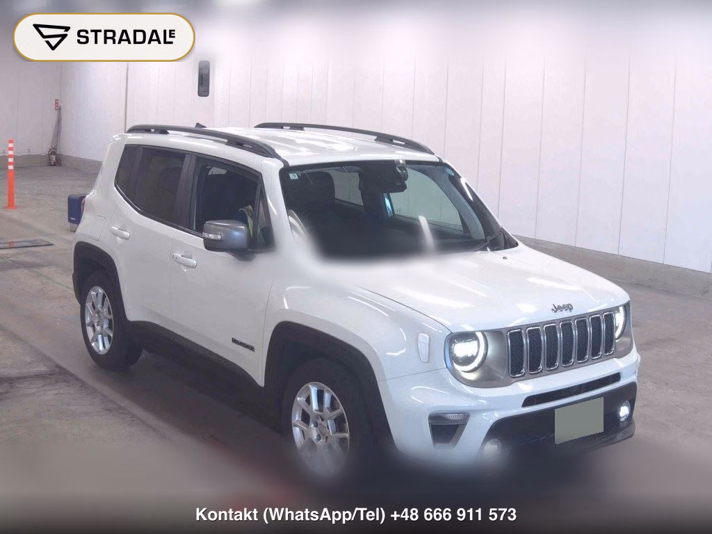 CHRYSLER JEEP JEEP RENEGADE LIMITED 2019, aukcja z Japonii, zdjęcie 1
