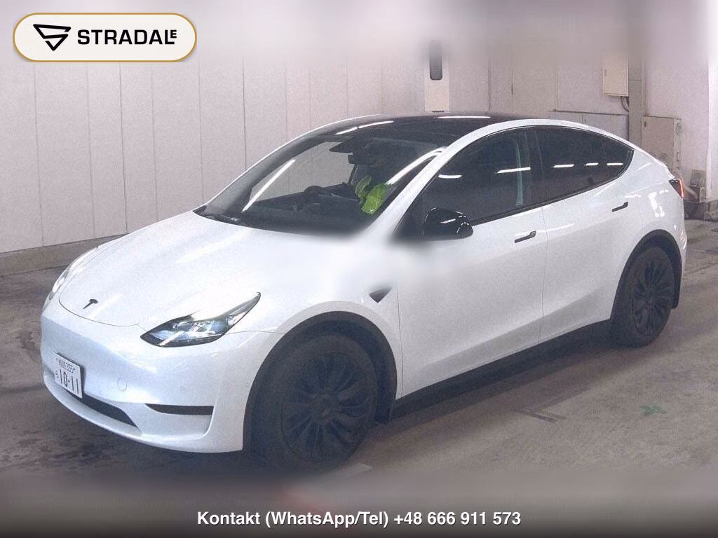 TESLA MODEL Y RWD, miniaturka 5