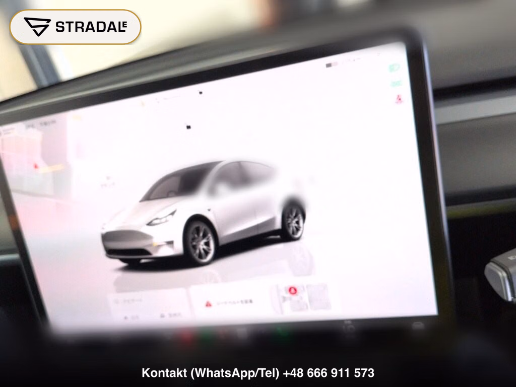 TESLA MODEL Y RWD, miniaturka 7