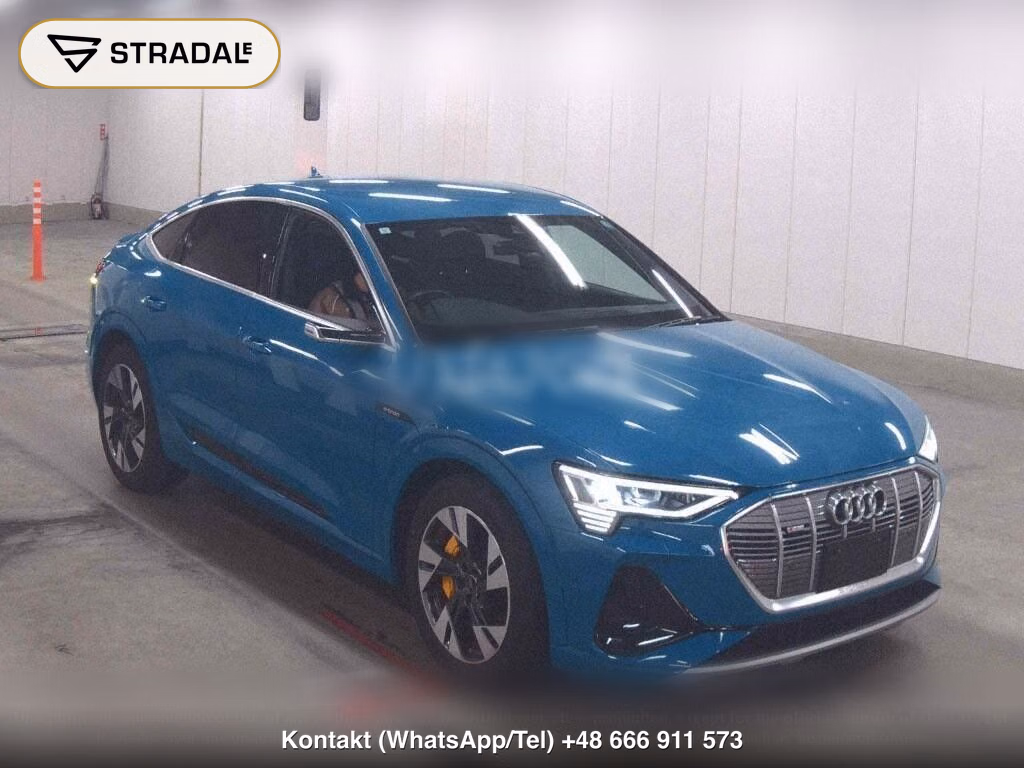 AUDI E-TRON SPORTBACK 4WD 55 QUATTRO FIRST EDITION, miniaturka 2