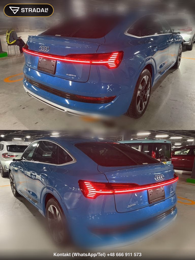 AUDI E-TRON SPORTBACK 4WD 55 QUATTRO FIRST EDITION, miniaturka 11