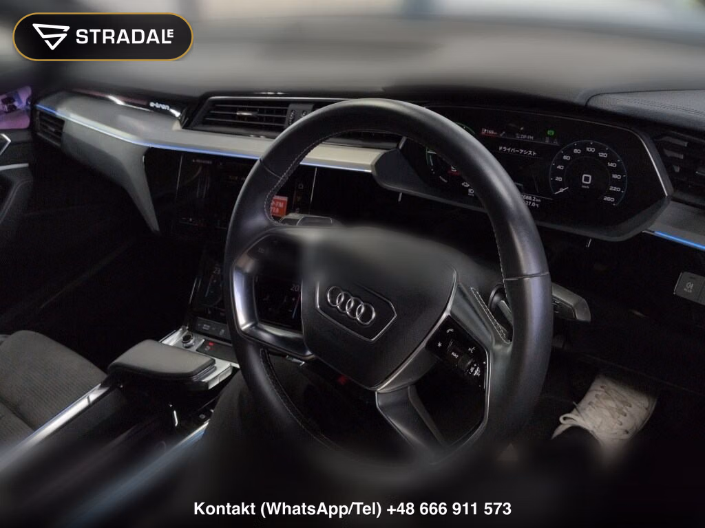 AUDI E-TRON SPORTBACK 4WD 55 QUATTRO FIRST EDITION, miniaturka 4