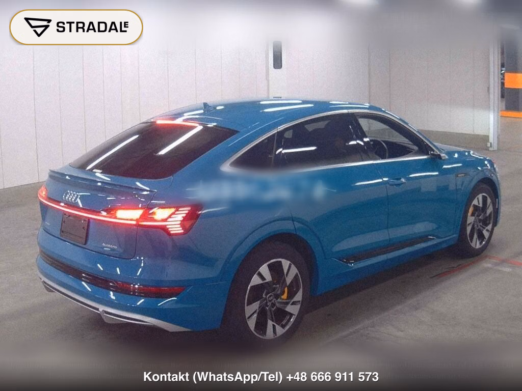 AUDI E-TRON SPORTBACK 4WD 55 QUATTRO FIRST EDITION, miniaturka 6