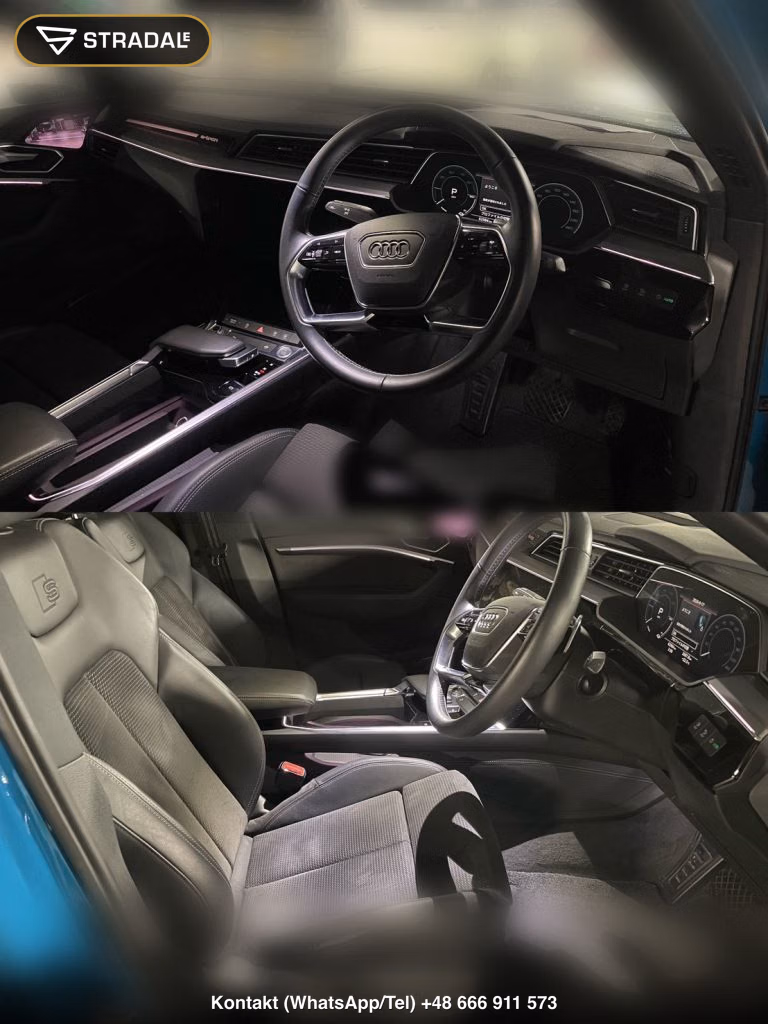 AUDI E-TRON SPORTBACK 4WD 55 QUATTRO FIRST EDITION, miniaturka 8