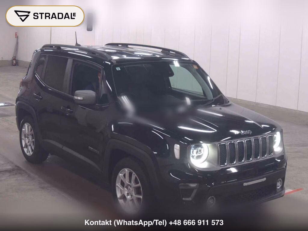 CHRYSLER JEEP JEEP RENEGADE LIMITED 2019, aukcja z Japonii, zdjęcie 1