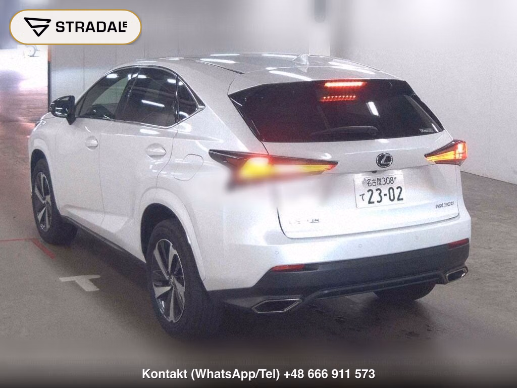 LEXUS NX NX300 SPECIAL EDITION SPICE AND CHIC, miniaturka 3