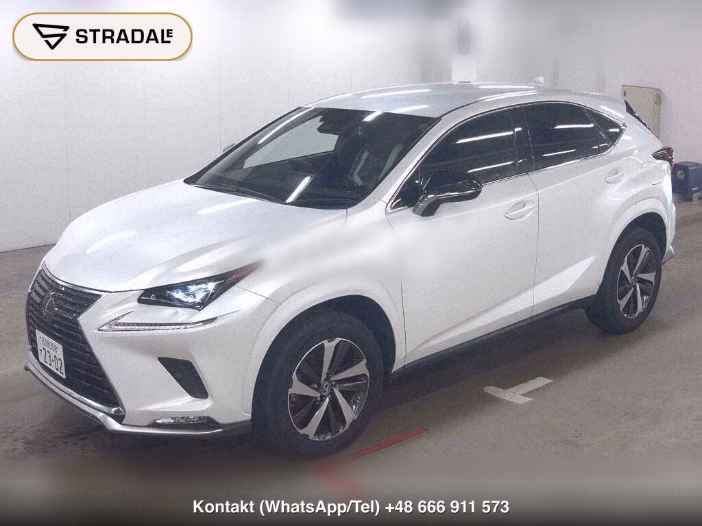 LEXUS NX NX300 SPECIAL EDITION SPICE AND CHIC, miniaturka 5