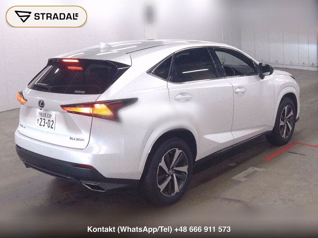 LEXUS NX NX300 SPECIAL EDITION SPICE AND CHIC, miniaturka 6