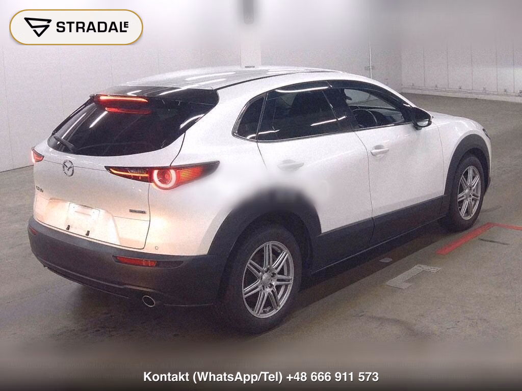 MAZDA CX-30 XD PROACTIVE TOURING SELECTION, miniaturka 6