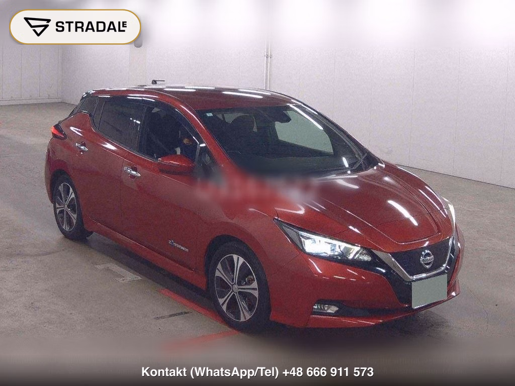 NISSAN LEAF X 10 THOUSAND UNITS MEMORIAL CAR, miniaturka 2