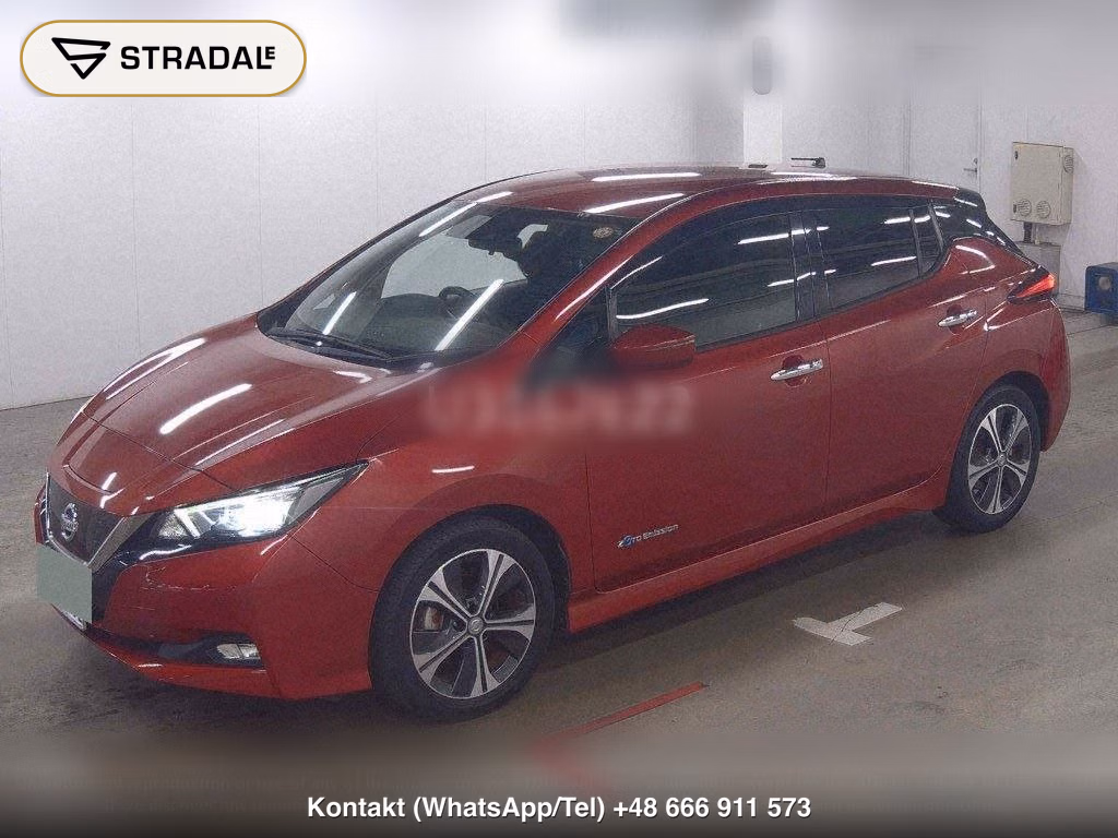 NISSAN LEAF X 10 THOUSAND UNITS MEMORIAL CAR, miniaturka 5