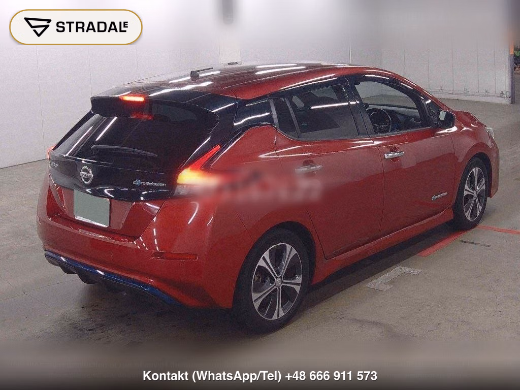 NISSAN LEAF X 10 THOUSAND UNITS MEMORIAL CAR, miniaturka 6