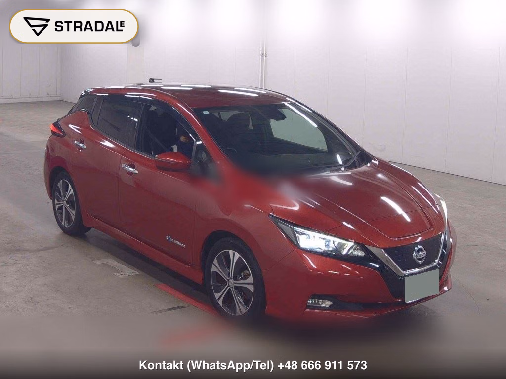 NISSAN LEAF X 10 THOUSAND UNITS MEMORIAL CAR 2018, aukcja z Japonii, zdjęcie 1