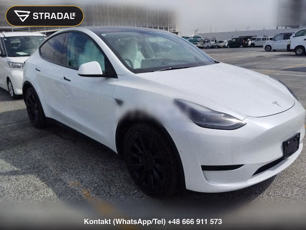 TESLA MODEL Y RWD, miniaturka 2
