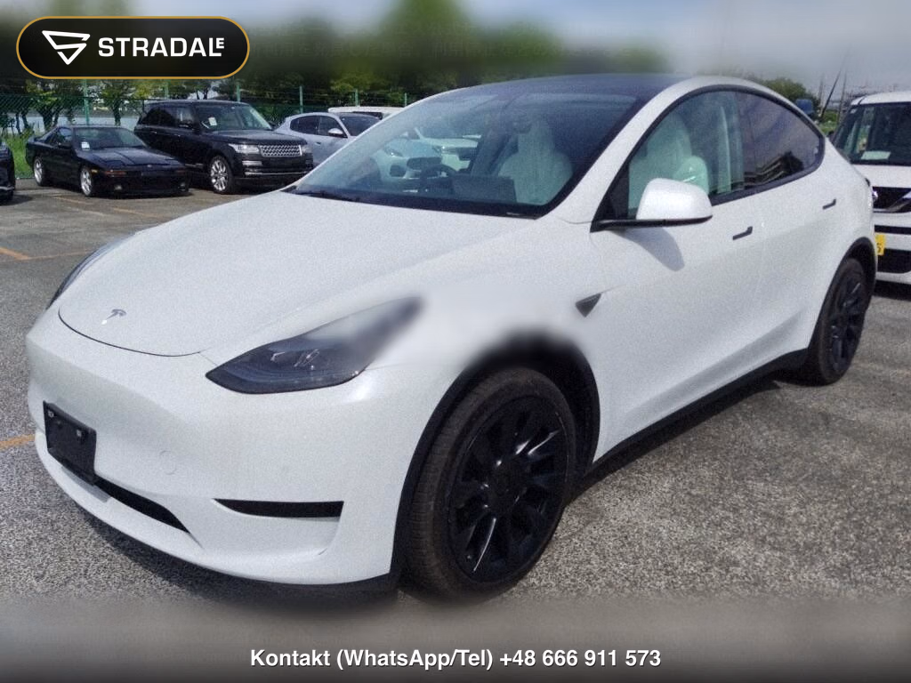 TESLA MODEL Y RWD, miniaturka 5