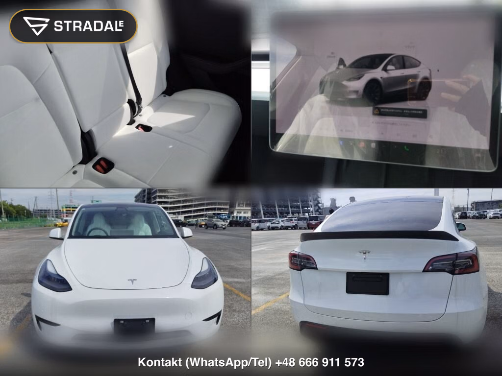 TESLA MODEL Y RWD, miniaturka 7