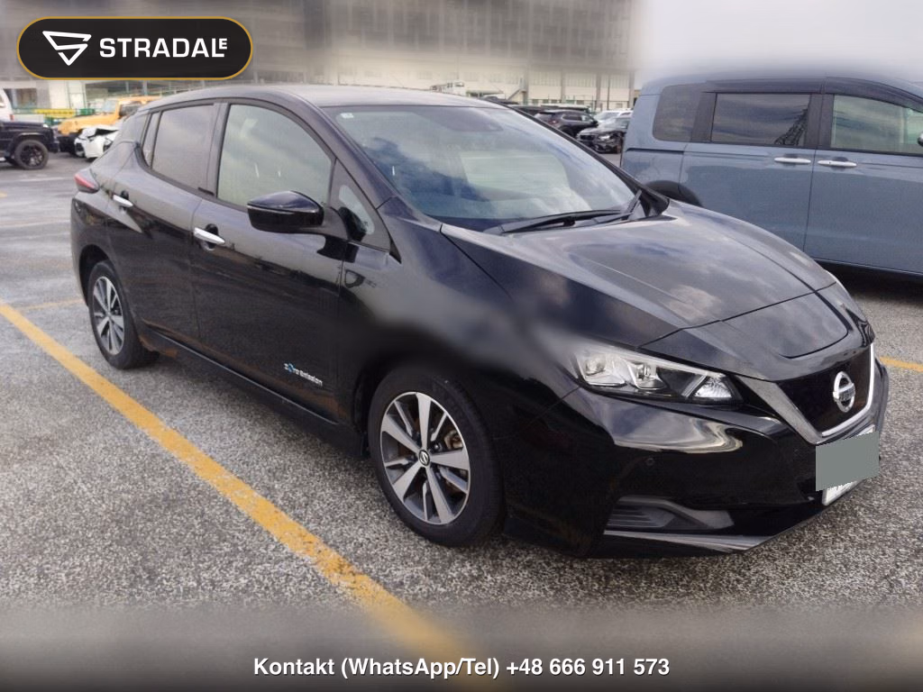 NISSAN LEAF X 2019, aukcja z Japonii, zdjęcie 1