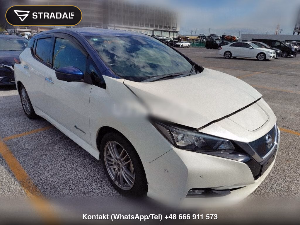 NISSAN LEAF G, miniaturka 2