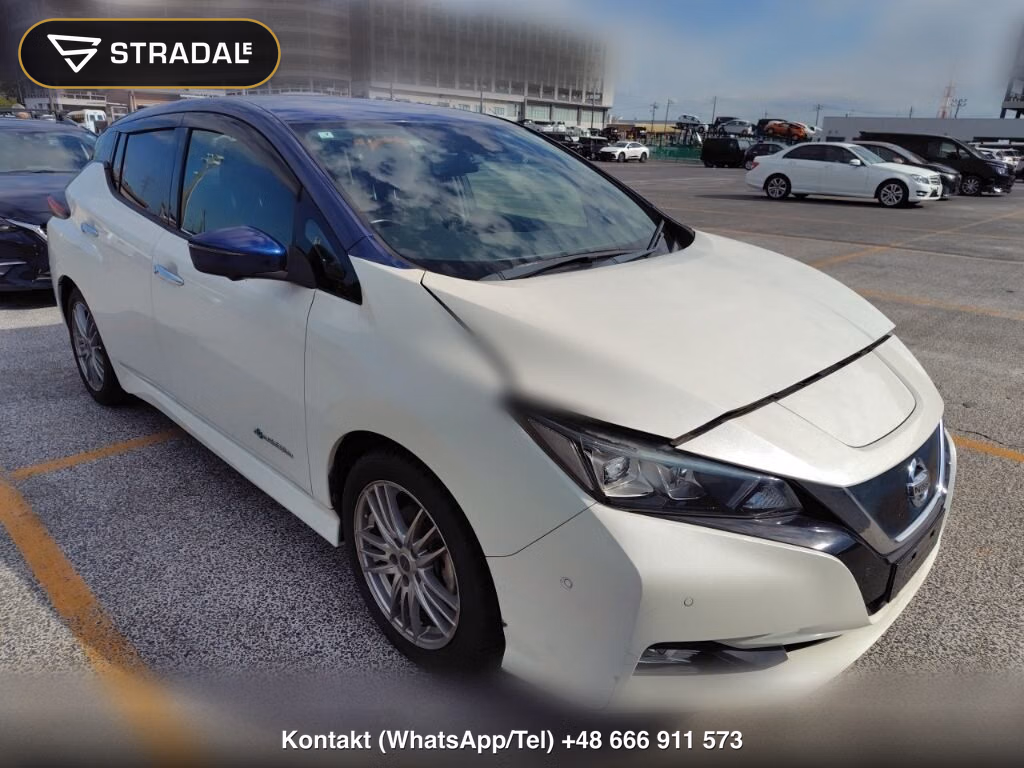 NISSAN LEAF G 2019, aukcja z Japonii, zdjęcie 1