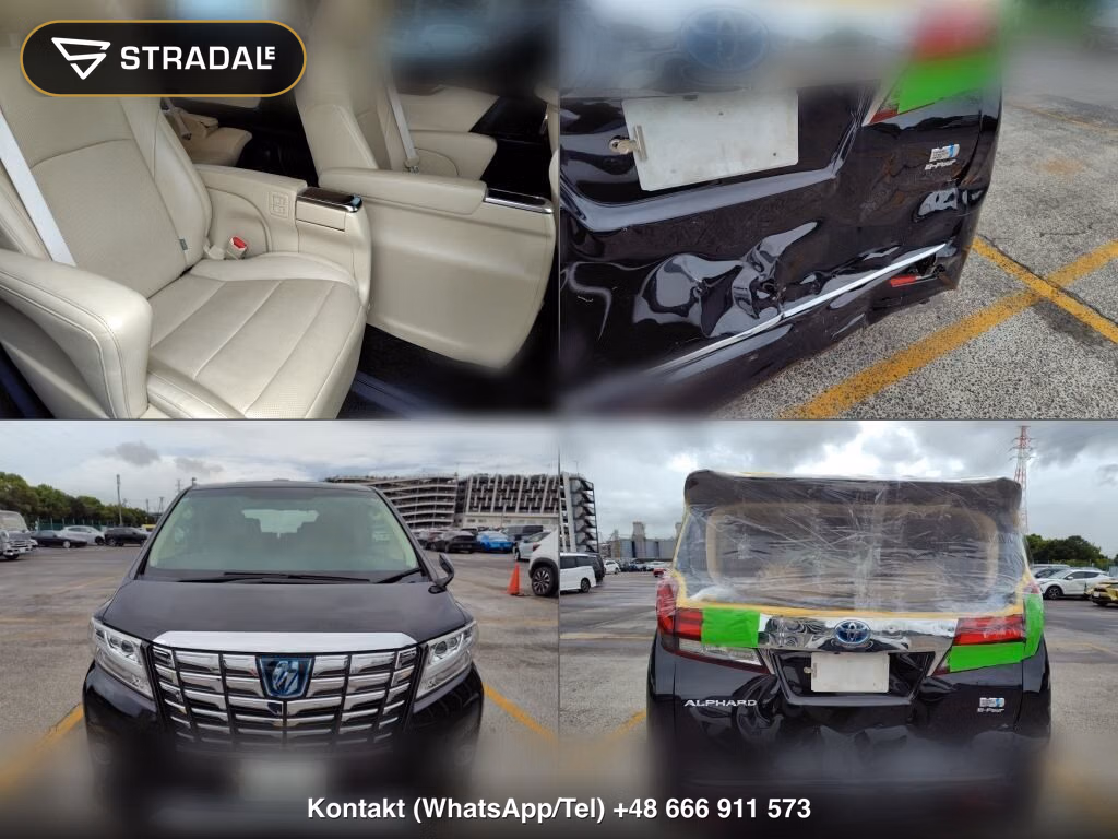 TOYOTA ALPHARD HYBRID 4WD G F PACKAGE, miniaturka 7