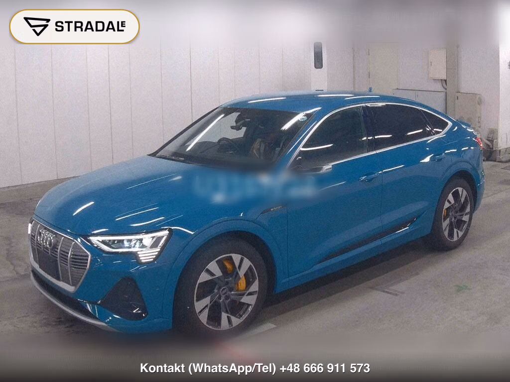 AUDI E-TRON SPORTBACK 4WD 55 QUATTRO FIRST EDITION, miniaturka 5