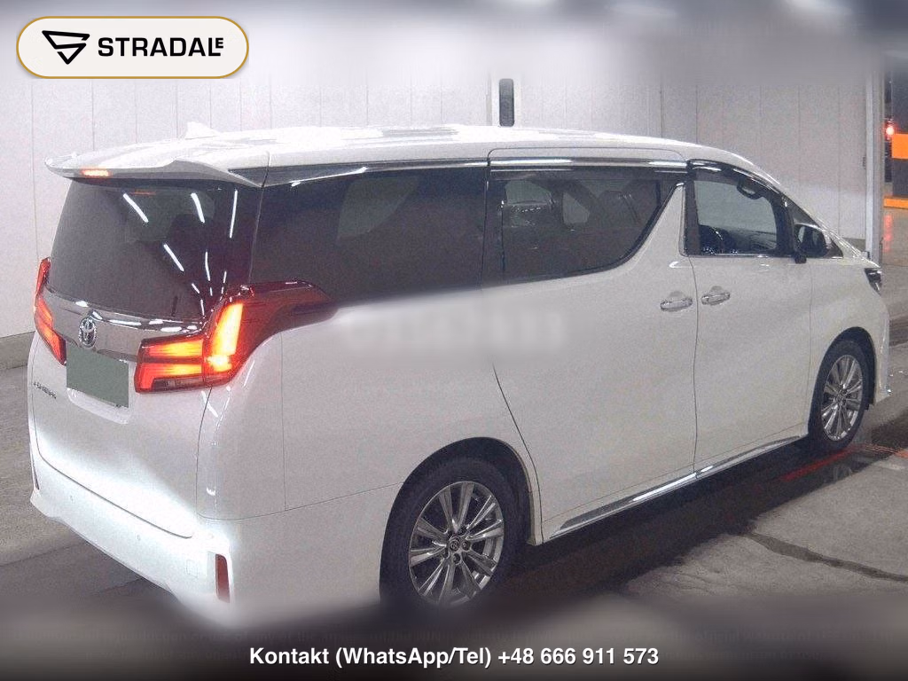 TOYOTA ALPHARD 2.5S TYPE GOLD, miniaturka 6