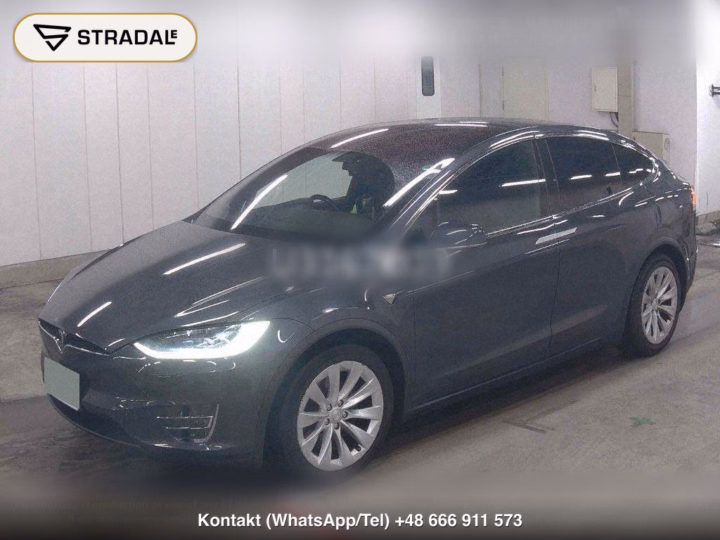 TESLA MODEL X 4WD 100D, miniaturka 5
