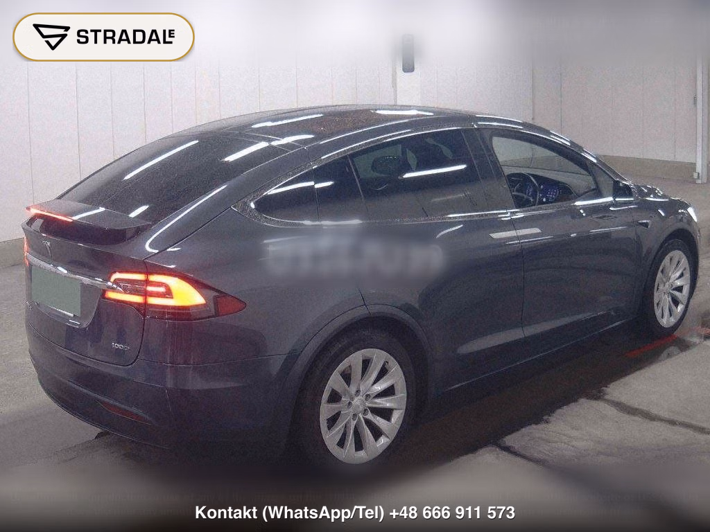 TESLA MODEL X 4WD 100D, miniaturka 6