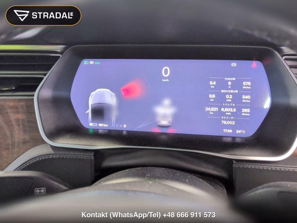TESLA MODEL X 4WD 100D, miniaturka 7