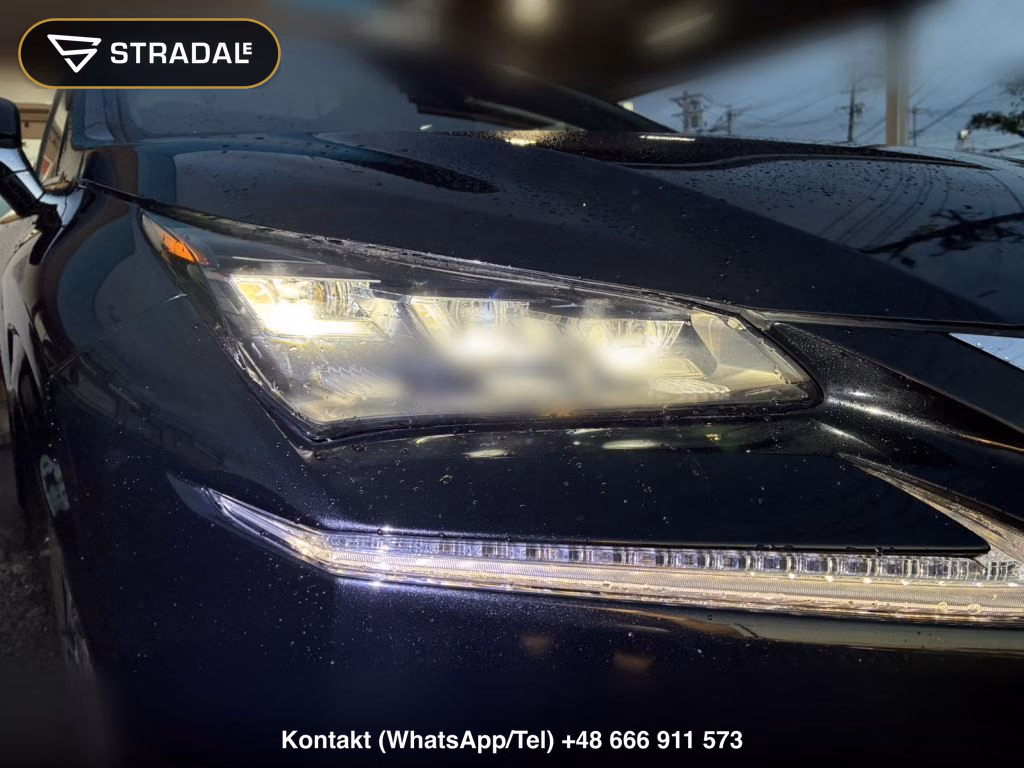 LEXUS NX NX300H F SPORT, miniaturka 10