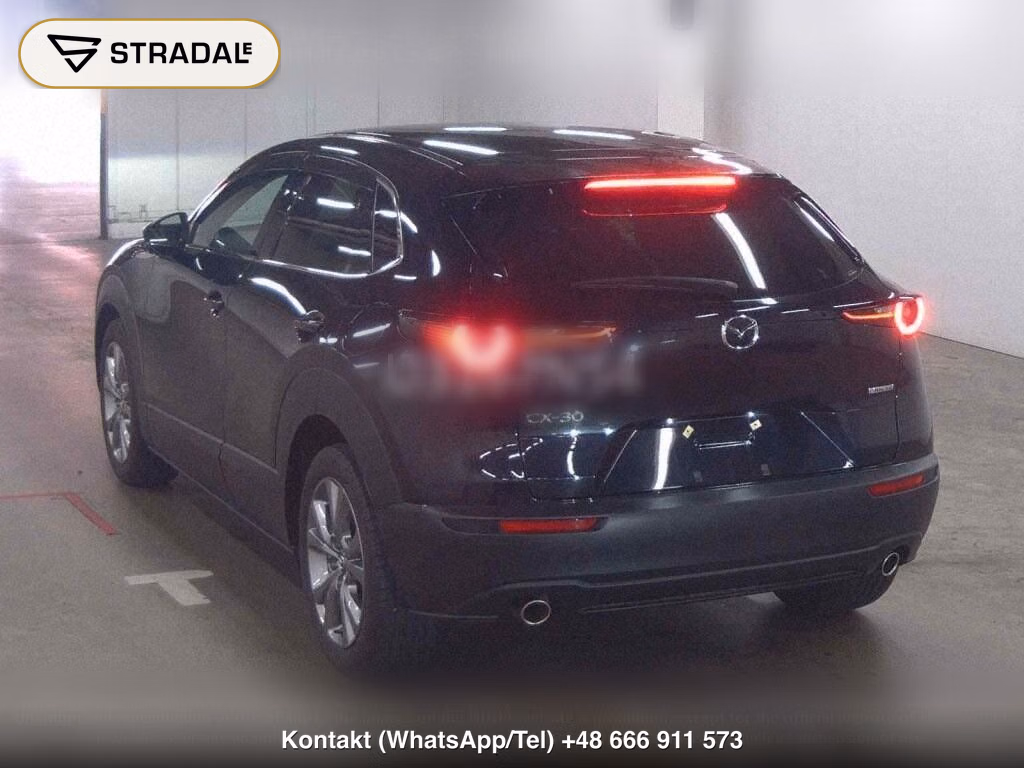 MAZDA CX-30 20S PROACTIVE TOURING SELECTION, miniaturka 3