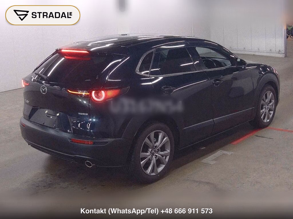 MAZDA CX-30 20S PROACTIVE TOURING SELECTION, miniaturka 6