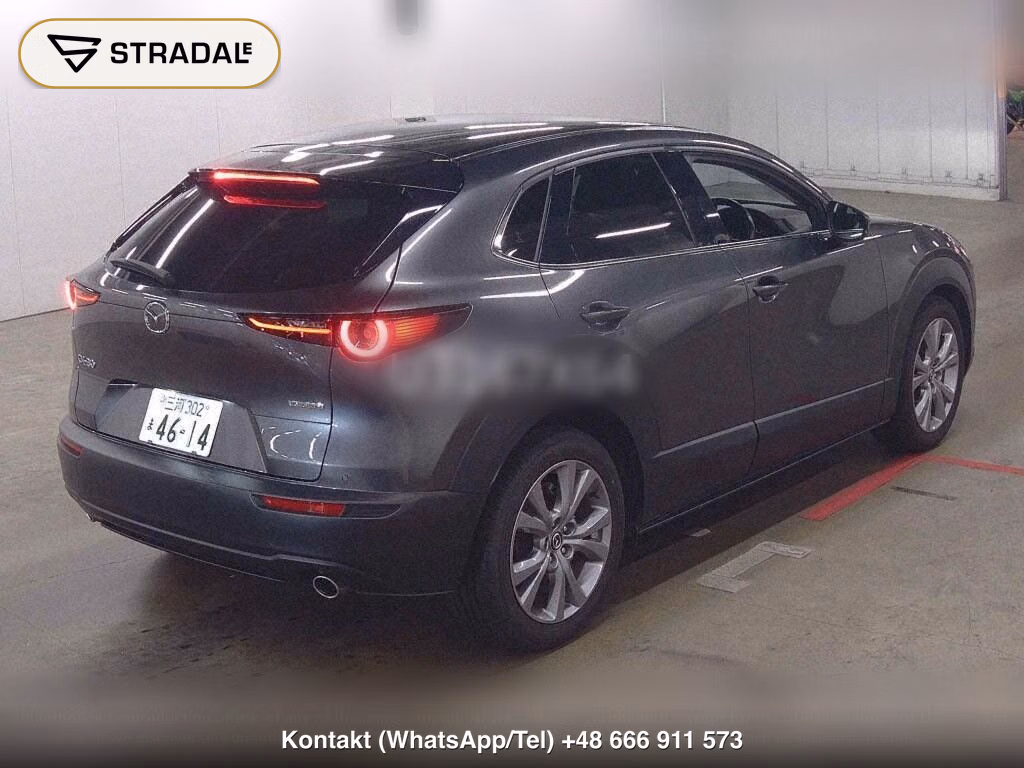 MAZDA CX-30 XD L PACKAGE, miniaturka 6