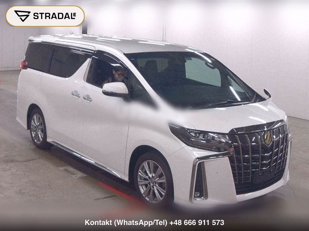 TOYOTA ALPHARD 2.5S TYPE GOLD, miniaturka 2