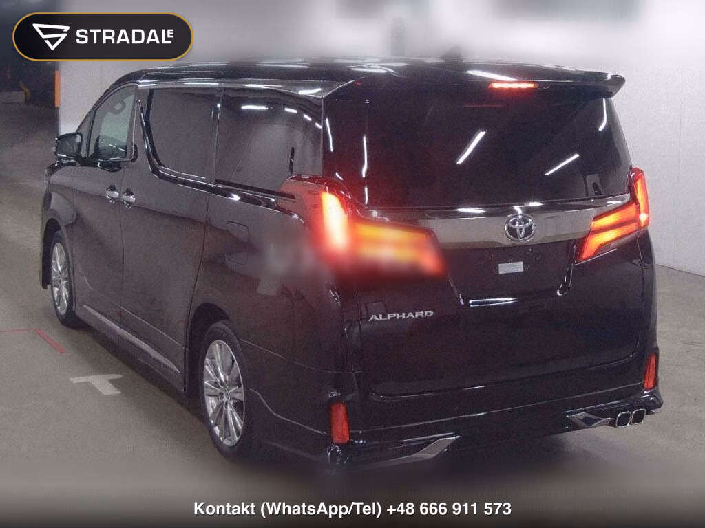 TOYOTA ALPHARD S TYPE GOLDⅢ, miniaturka 3