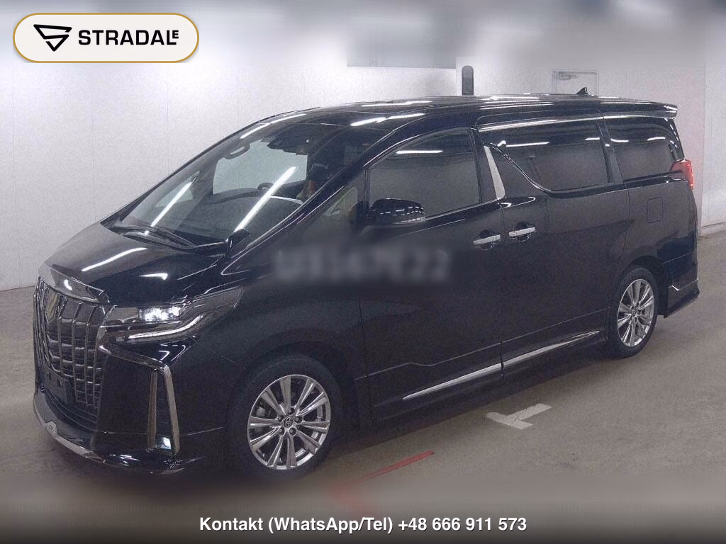 TOYOTA ALPHARD S TYPE GOLDⅢ, miniaturka 5