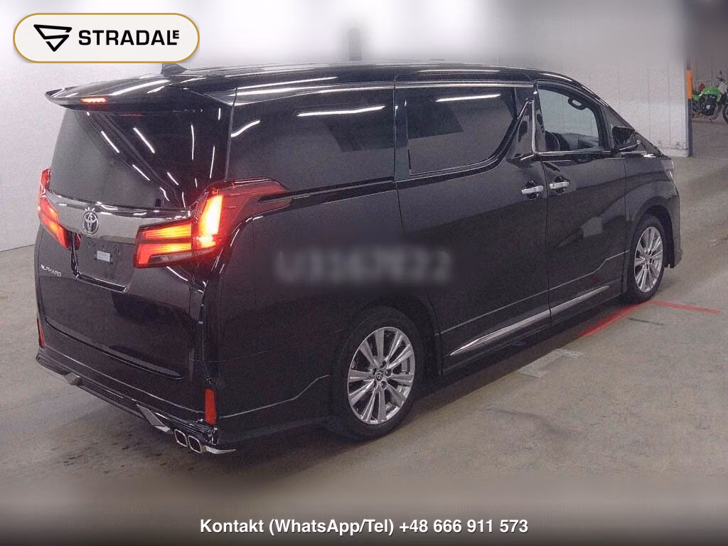 TOYOTA ALPHARD S TYPE GOLDⅢ, miniaturka 6