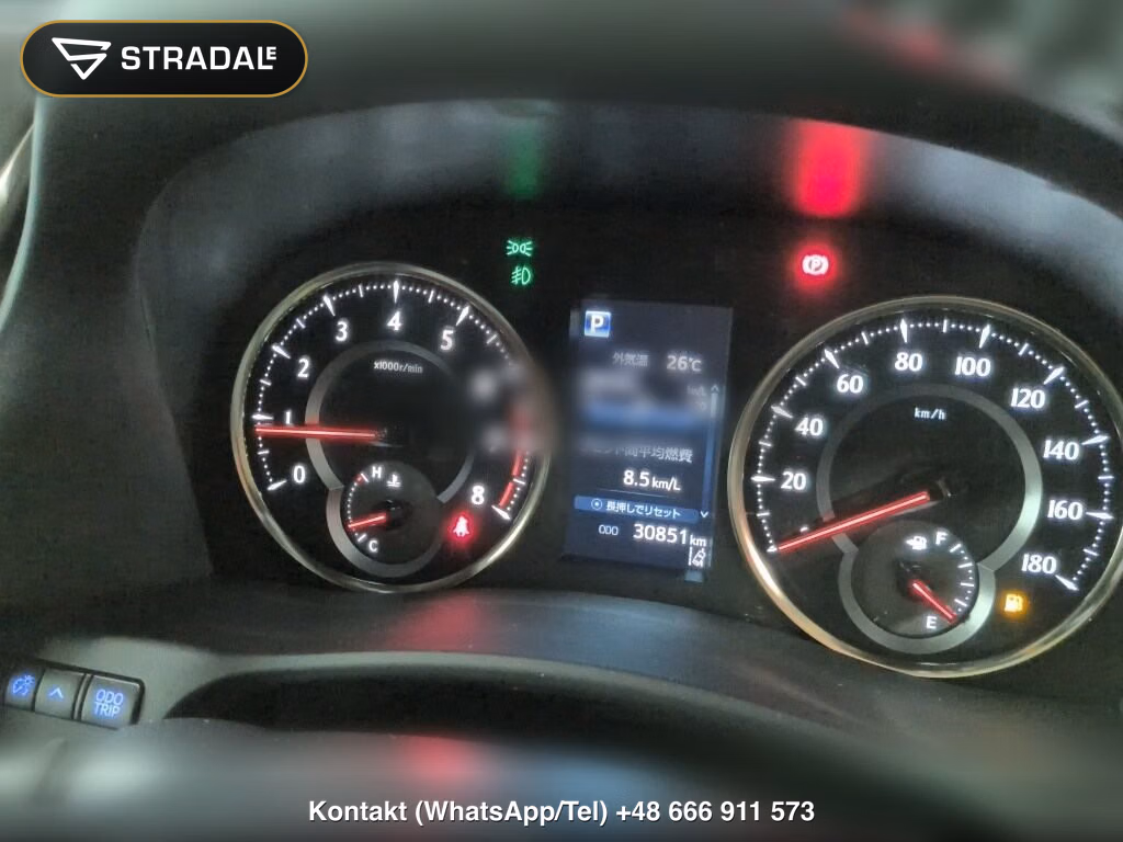 TOYOTA ALPHARD S TYPE GOLDⅢ, miniaturka 7
