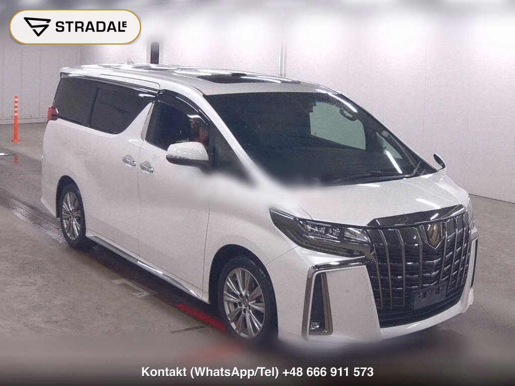 TOYOTA ALPHARD 2.5S TYPE GOLD, miniaturka 2