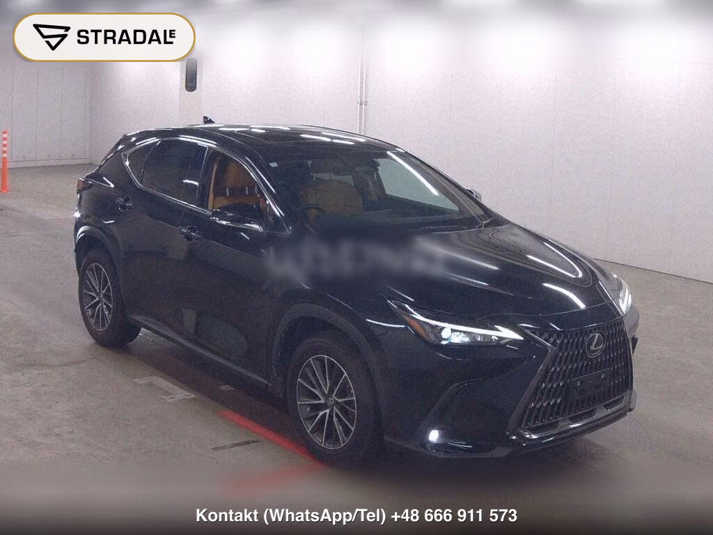 LEXUS NX NX250 2024, aukcja z Japonii, zdjęcie 1