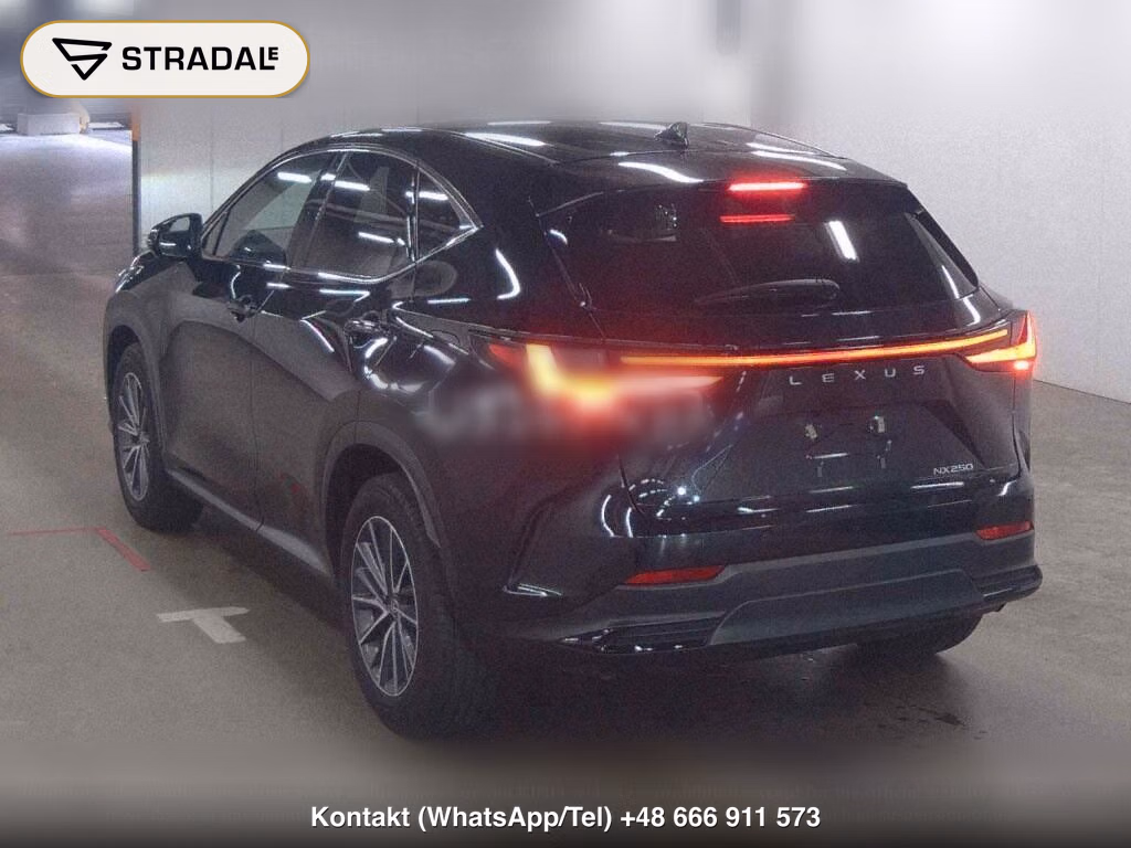 LEXUS NX NX250, miniaturka 2