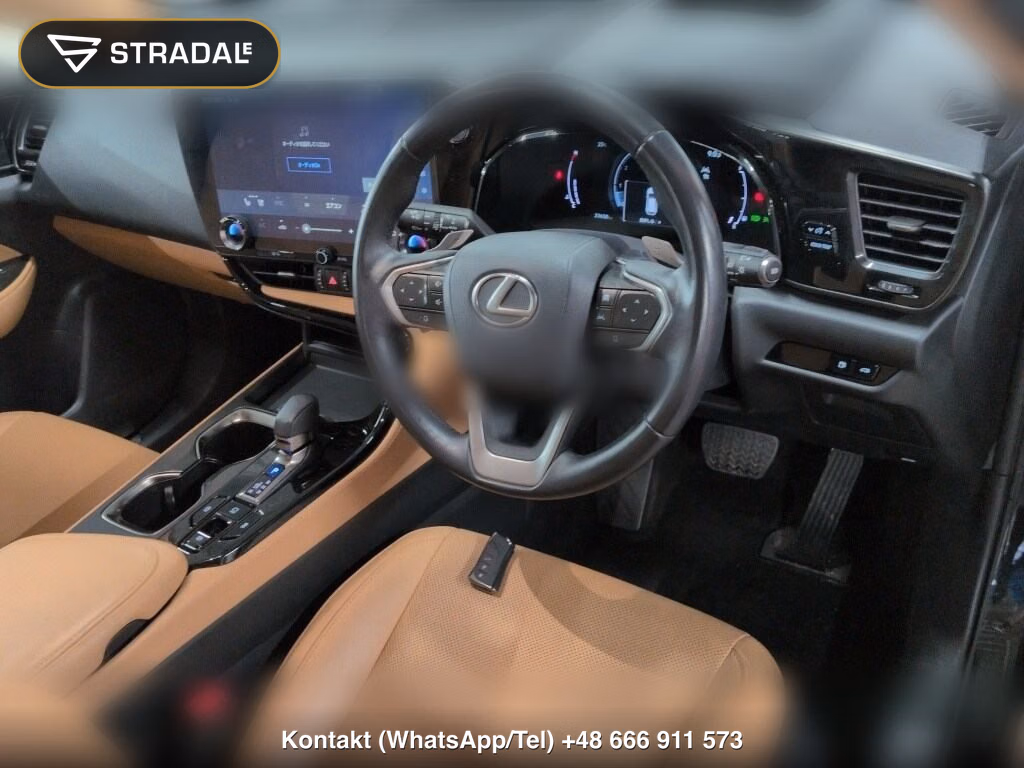 LEXUS NX NX250, miniaturka 3