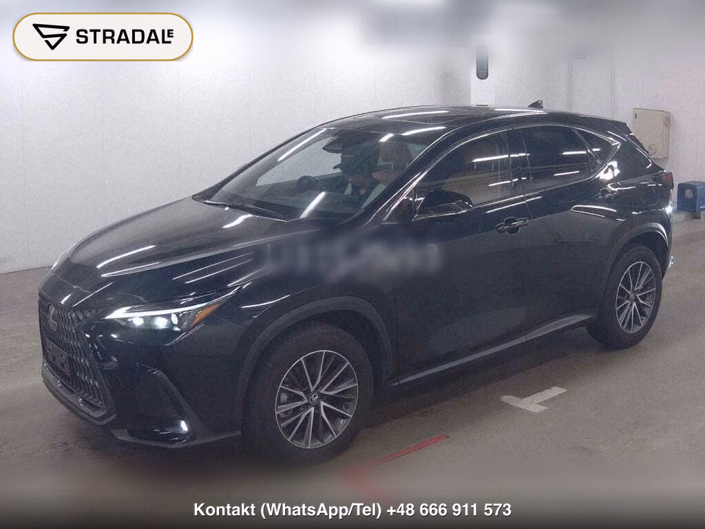 LEXUS NX NX250, miniaturka 4