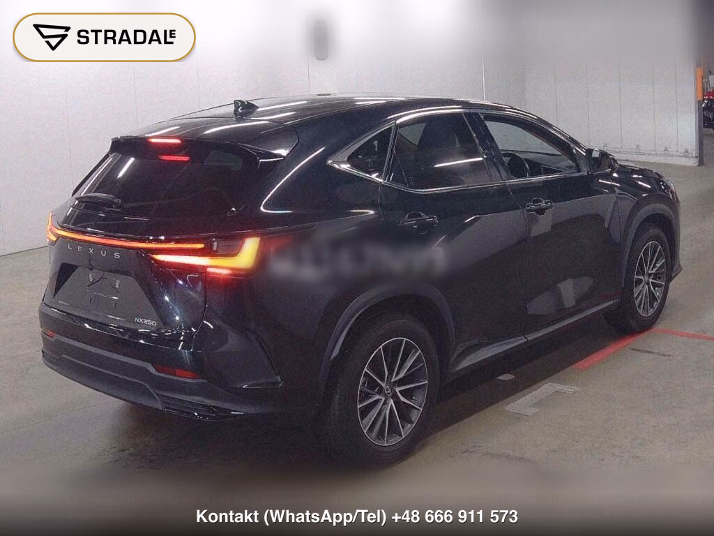 LEXUS NX NX250, miniaturka 5