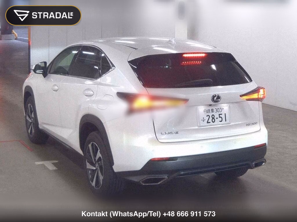 LEXUS NX NX300 I PACKAGE, miniaturka 3