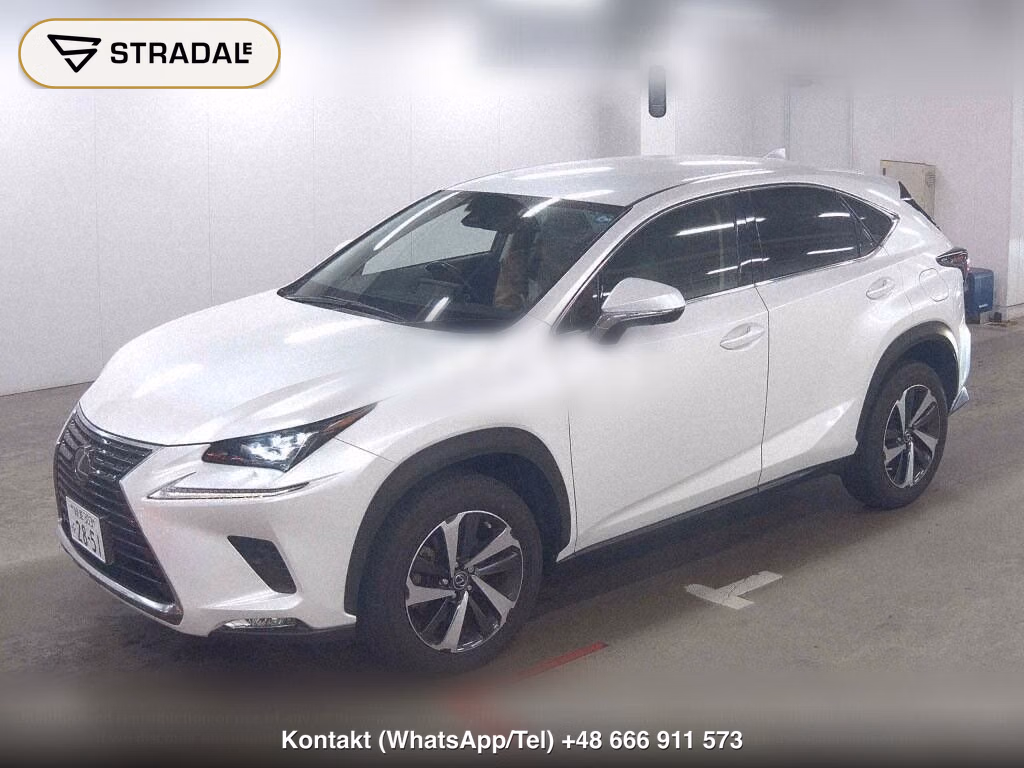 LEXUS NX NX300 I PACKAGE, miniaturka 5
