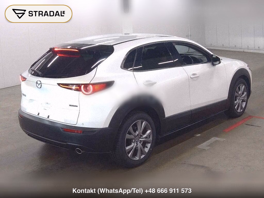 MAZDA CX-30 20S L PACKAGE, miniaturka 6